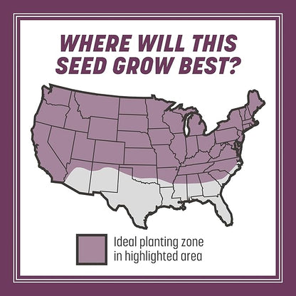 Pennington The Rebels Tall Fescue Shady Grass Seed Mix 3 lb