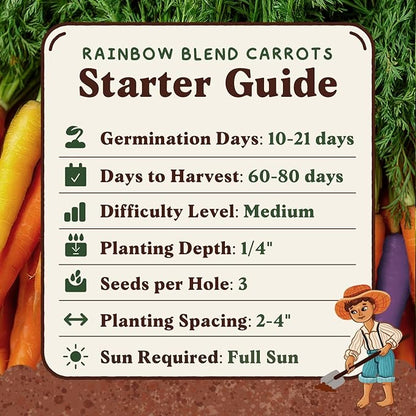 Seedboy Organic Rainbow Carrot Seeds for Planting Indoor and Outdoor, Non-GMO and USDA Certified Vegetable Seed Packet for Hydroponic Garden Indoor or Planting Outdoors (Rainbow Carrots)