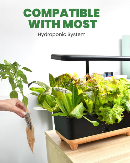 RAINPOINT 60pcs Grow Sponges for Hydroponics, Replacement Root Growth Sponges Compatible with All Indoor Gardening Systems, Seed Starter Pods for Hydroponic Indoor Garden System