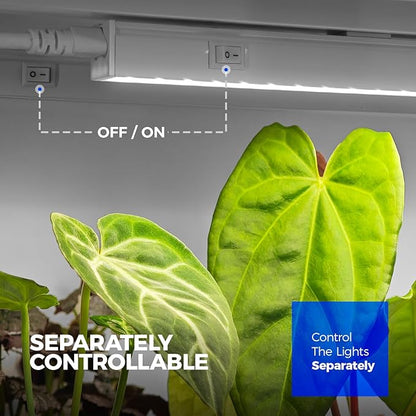 Barrina Grow Lights for Indoor Plants, 1ft Plant Lights for Indoor Growing, 5000K White Full Spectrum Grow Light, Individual Switch, T5 Grow Light Strip, Plug and Play, 8-Pack