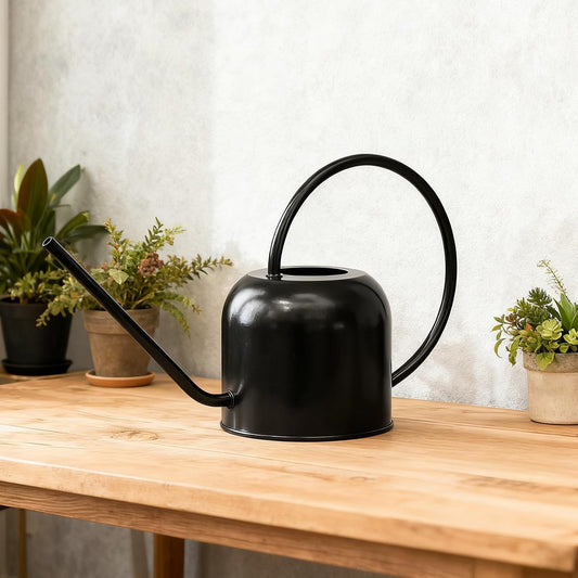 Bamworld Watering Can for Indoor Outdoor Plants 54oz/1.6L Metal Stainless Steel Pot with Long Spout Sprinkler for House Plants Bonsai Garden Flower Decorative Water Pitcher Garden Tools Black