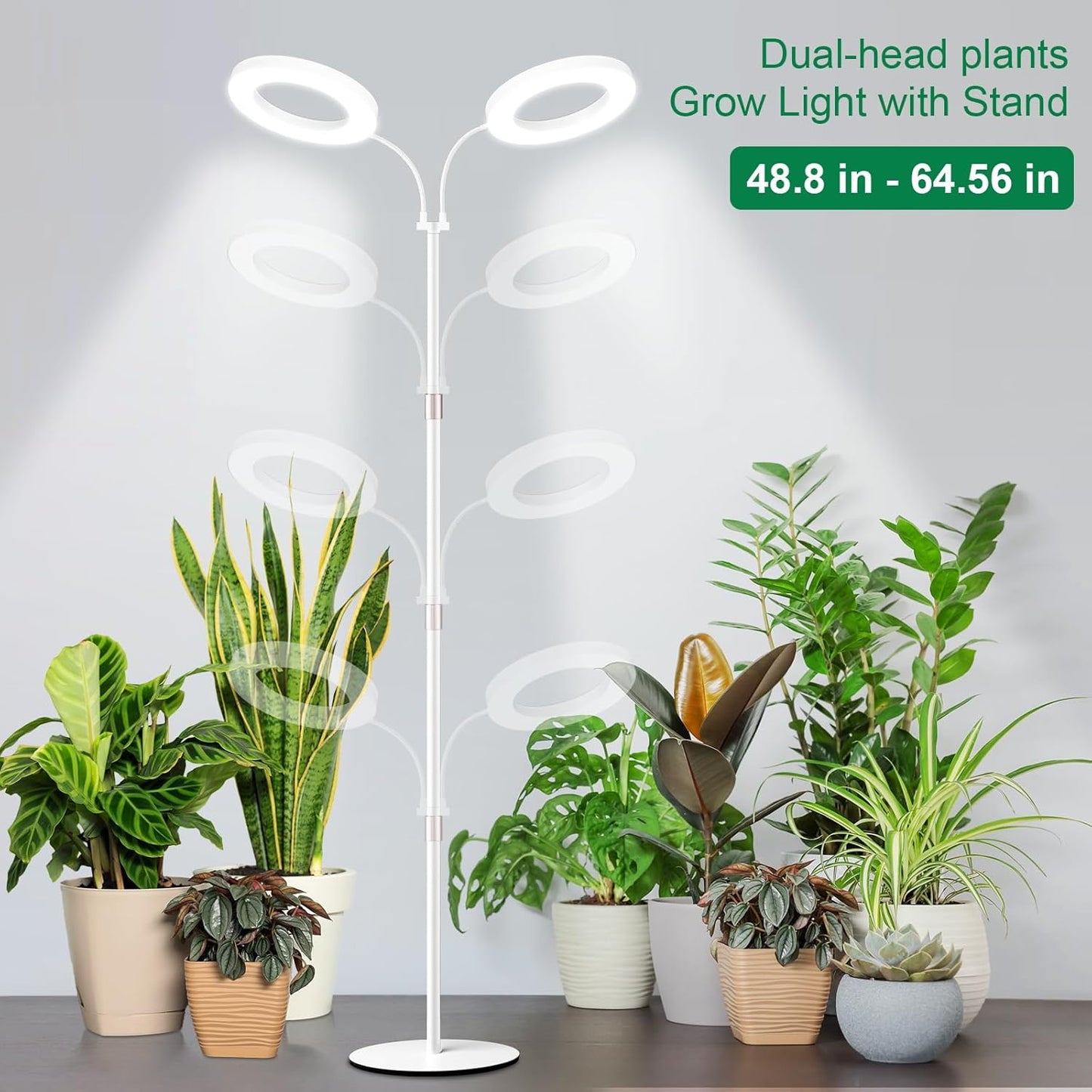 LBW Dual-Head Full Spectrum Grow Light with Stand – Adjustable Height (48.8-64.6"), Auto Cycle Timer (4/8/12H), 4 Brightness Levels, for Large Indoor Plants (White)