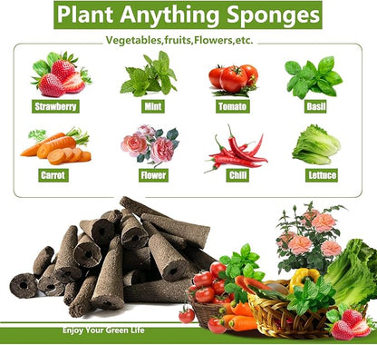 Grow Sponges 60 Pack, Hydroponics Replacement Root Growth Sponges Compatible with Aero Garden iDOO and Most Other Brands