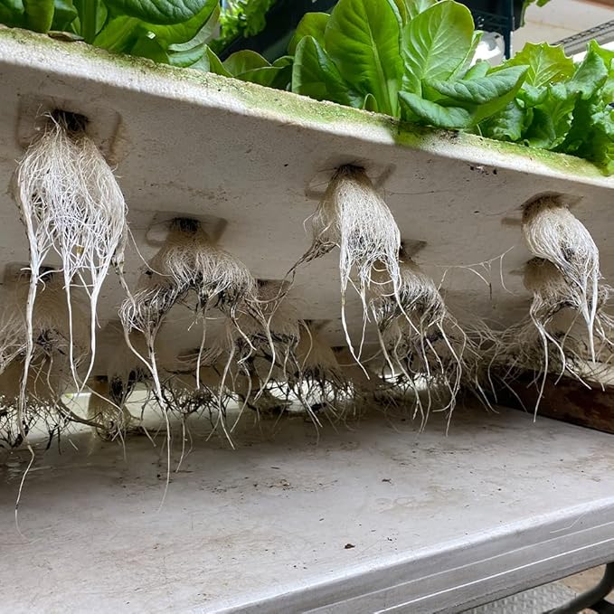 Active Grow 4FT T5 HO LED Grow Light – 8×25W Full Spectrum Panel, Sun White Pro, Daisy-Chainable – Ideal Grow Light for Indoor Plants, Seeds & Starts, T5 Grow Lights Fixture