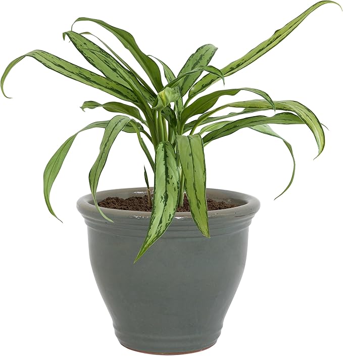 Sunnydaze Large Ceramic Plant Pot - Round Outdoor Glazed Ceramic Planter Pot with Drainage - Gray - Studio - 15"