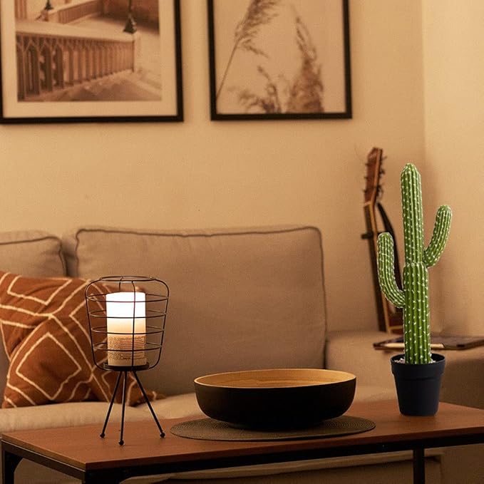 momoplant Artificial Cactus Succulent Plant, 24 Inch Tall Faux Fake Desert Cacti Plant with Black Planter for Home Garden Office Floor Decor