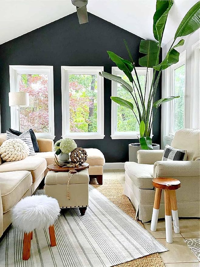 Bird of Paradise - White - Strelitzia Nicholai. (2 White BoP in Sac)