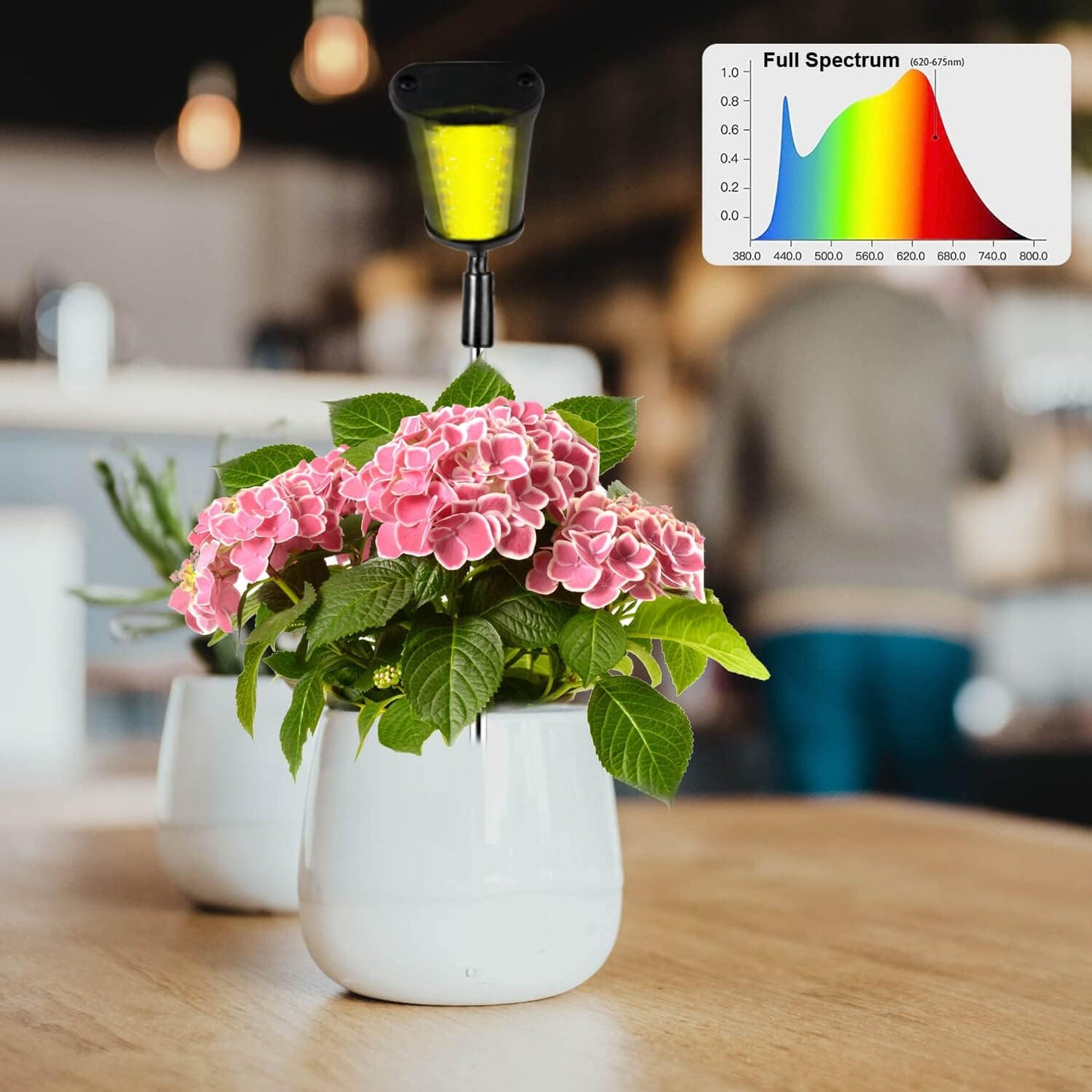 LED Grow Light,3500K Full Spectrum Desk Plant Growing Lamp with 45 LEDs,Adjustable Gooseneck,5-Level Dimmable,Height Adjustable7-23 for Indoor Plants,Auto On Off Timing 2 4 8Hrs