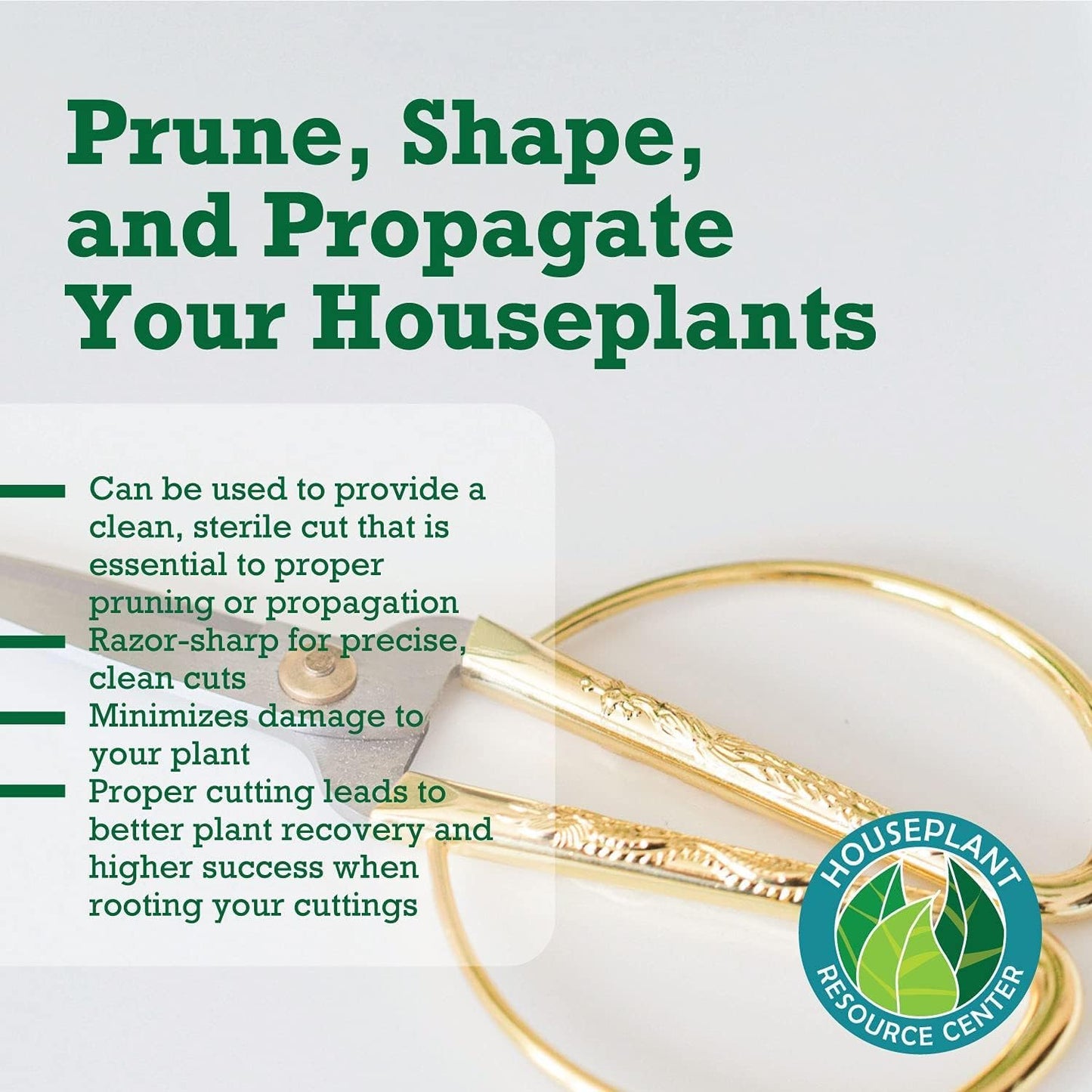 Premium Houseplant Scissors | 100% Stainless Steel, Ultra-Precise Garden Clippers for Propagation & Trimming | Rust-Resistant, Easy Clean Pruning Shears | Indoor & Outdoor | Comfortable & Ambidextrous