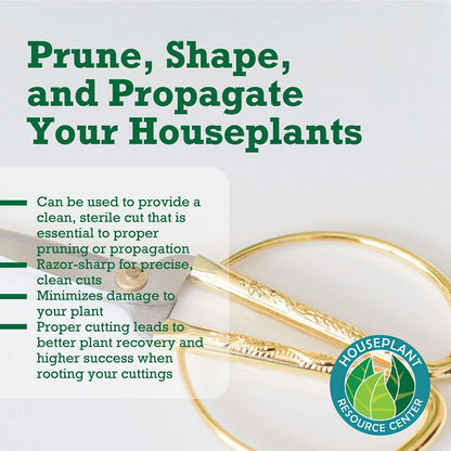 Premium Houseplant Scissors | 100% Stainless Steel, Ultra-Precise Garden Clippers for Propagation & Trimming | Rust-Resistant, Easy Clean Pruning Shears | Indoor & Outdoor | Comfortable & Ambidextrous