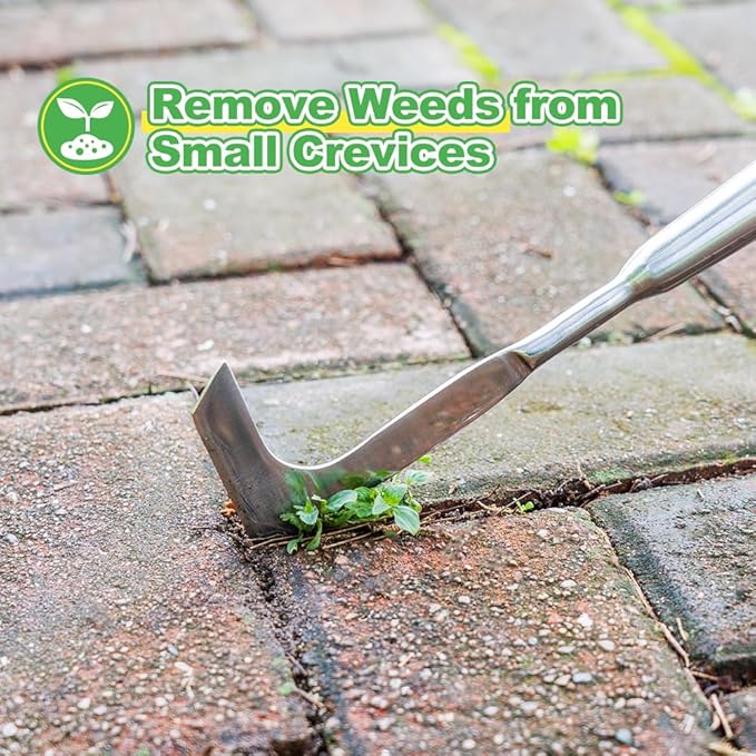 Berry&Bird 63'' Long Handle Crevice Weeding Tool, Stainless Steel Crack Weeder Crevice Weeding Sickle Tool, L-Shaped Manual Weeder Puller for Garden, Lawn, Yard, Side-Walk, Narrow & Wall Gaps