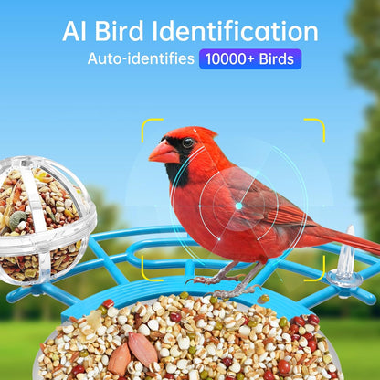 Smart Bird Feeder with Camera Solar Panel, Battery Powered 3MP HD Video Monitoring AI Recognition of 10,000+ Species Color Night Vision,Outdoor Waterproof,for Bird Watching