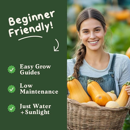 Seedboy Organic Winter Squash Seeds for Planting Indoor and Outdoor, Non-GMO and USDA Certified Vegetable Seed Packet for Hydroponic Garden Indoor or Planting Outdoors (Butternut Squash)