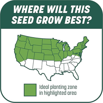 Penn Smart Patch S&S N