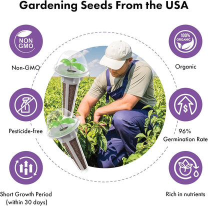 LYKOCLEAN Salad Romaine Lettuce Pods for AeroGarden, Ahopegarden, iDOO Hydroponics Growing System, 350 Seeds+ Including American Fast Lettuce, Paris Island Cos Lettuce, Buttercrunch Lettuce(7-Pods)