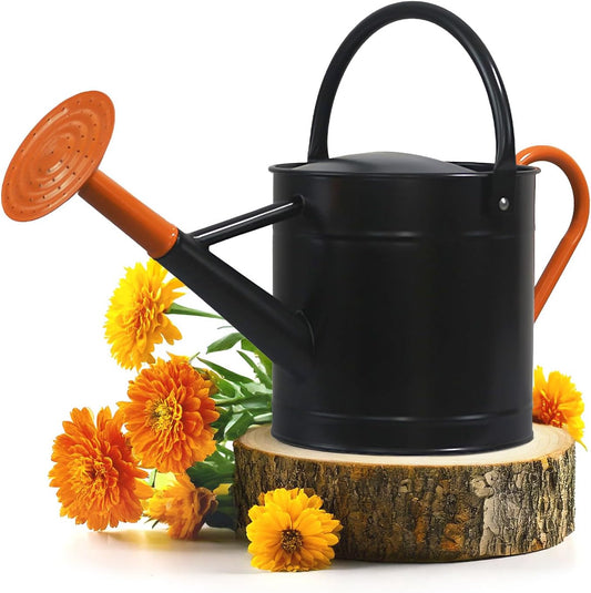 Plexon 1 Gallon Metal Watering Can Outdoor, Flower Plant Gardening Garden Large Watering Can Pot Pitcher, Steel Orange Handles and Removable Spray Spout, Black