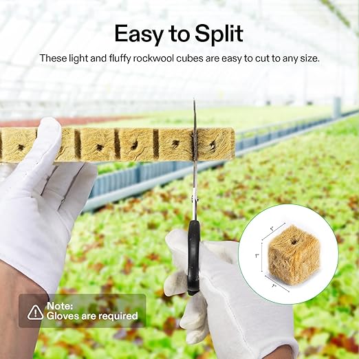 VIVOSUN 1" Rockwool Cubes, 200 Plugs Stonewool Starter Grow Cubes for Cuttings, Cloning, Plant Propagation, Seed Starting, Hydroponic Grow Media for Vigorous Plant Growth, 4 Sheets of 200 Plugs