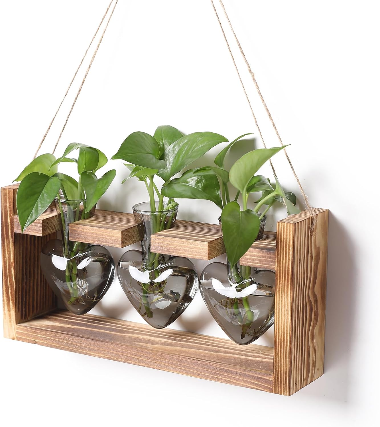 Plant Terrarium Propagation Stations Hydroponics Home Garden Decoration Gift for Women with Wooden Stand Heart Shaped Colored Glass Vase