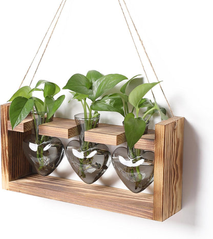 Plant Terrarium Propagation Stations Hydroponics Home Garden Decoration Gift for Women with Wooden Stand Heart Shaped Colored Glass Vase