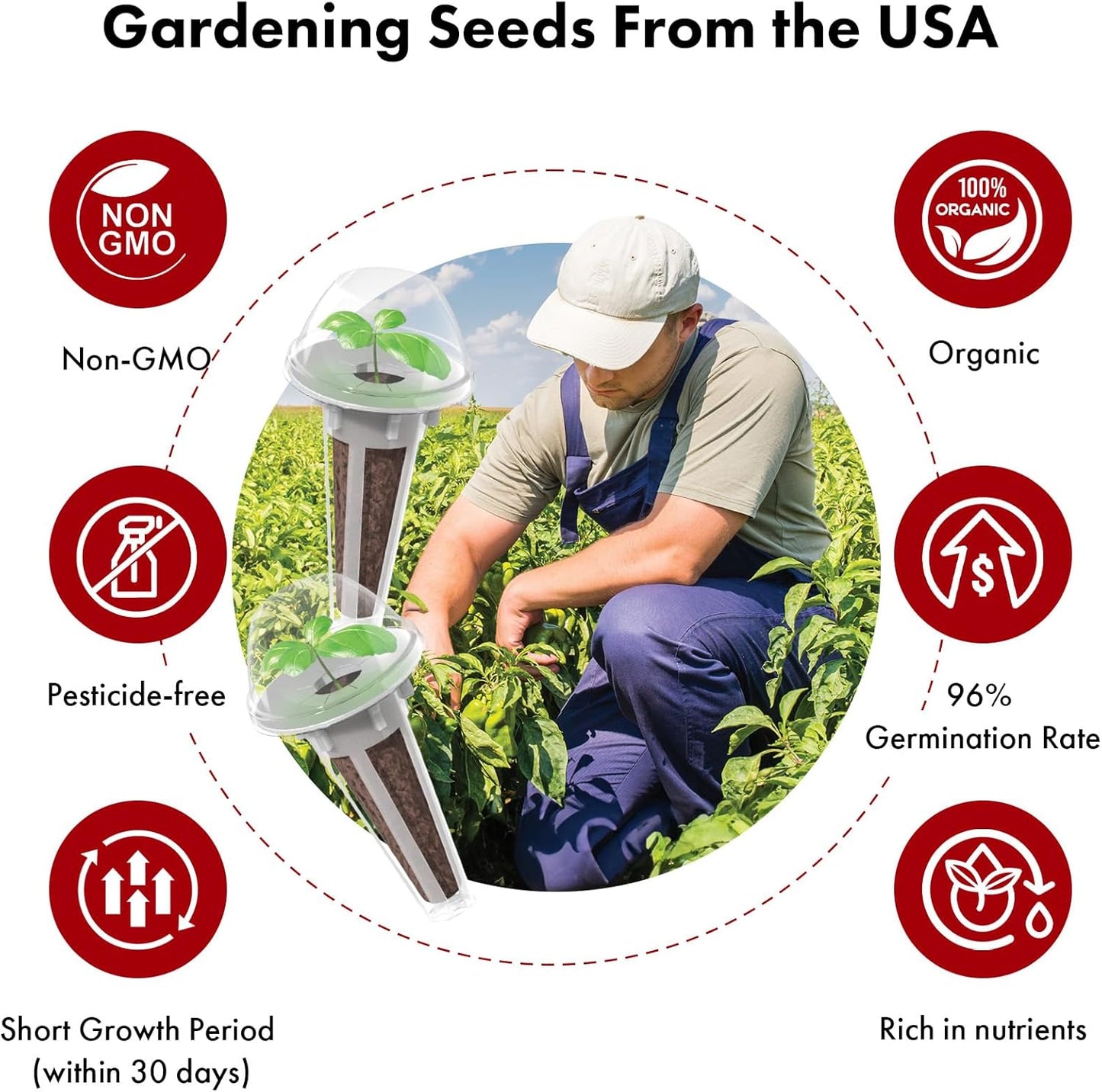 LYKOCLEAN Strawberry Seed Pods for AeroGarden, Ahopegarden, iDOO Hydroponics Growing System, 350 Seeds+ Including Red Cherry Tomato Golden Cherry Tomato, White Strawberry, Red Strawberry (12-Pods)