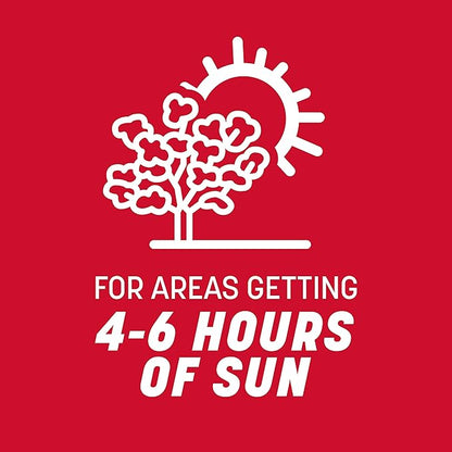 Pennington The Rebels Tall Fescue Grass Seed Mix 20 lb