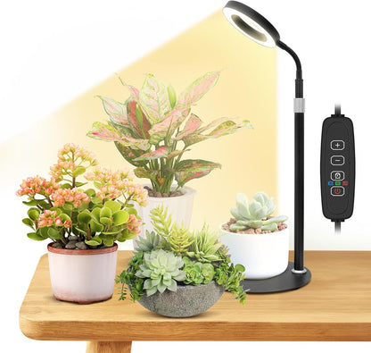 Desk Grow Lights for Indoor Plants, Red Blue Full Spectrum Desktop LED Plant Growing Lamps, Height Adjustable 13.7-24.2inch, 3/9/12H Auto Timer,10 Levels Dimmable, Black Table Growth Light
