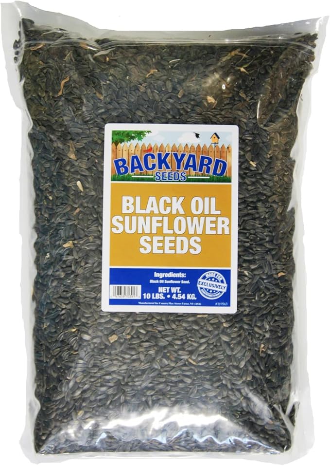 CountryMax Backyard Seeds Black Oil Sunflower (10 Pounds)
