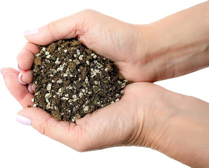 Premium African Violets and Gesneriad Premium Soil Mix by Gardenera - 10 Quart - Horticultural Perlite, Vermiculite, Sphagnum Peat Moss - Made in USA - (2 Bags of 5QT)