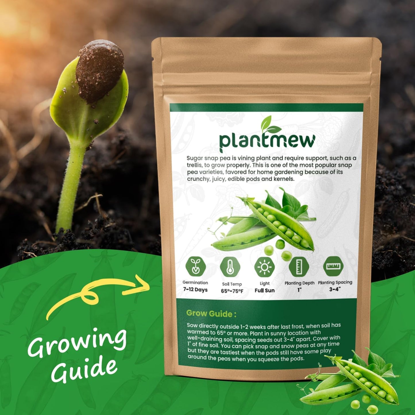 Sugar Snap Pea Seeds for Planting - Heirloom, Non-GMO, Open Pollinated - Sweet & Crunchy Edible Pods for Fresh Eating - Easy Grow Vertical Vine for Containers, Trellis & Home Garden