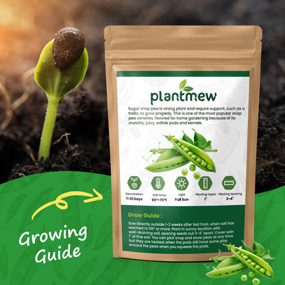 Sugar Snap Pea Seeds for Planting - Heirloom, Non-GMO, Open Pollinated - Sweet & Crunchy Edible Pods for Fresh Eating - Easy Grow Vertical Vine for Containers, Trellis & Home Garden