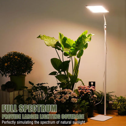 LED Grow Lights for Indoor Plants with Stand for Floor and Tabletop , Full Spectrum plant lights for indoor growing with Timer 4H/8H/12H, Plant light with 3 Lighting Mode & 10 Dimmable Brightness.