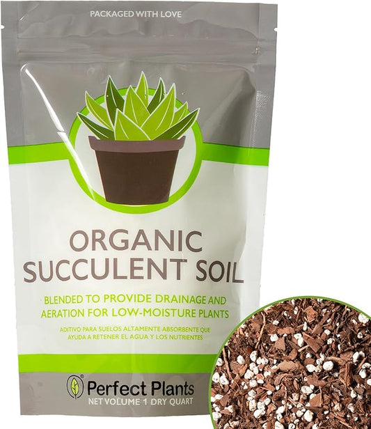 Succulent & Cactus Soil Mix by Perfect Plants (1QT)