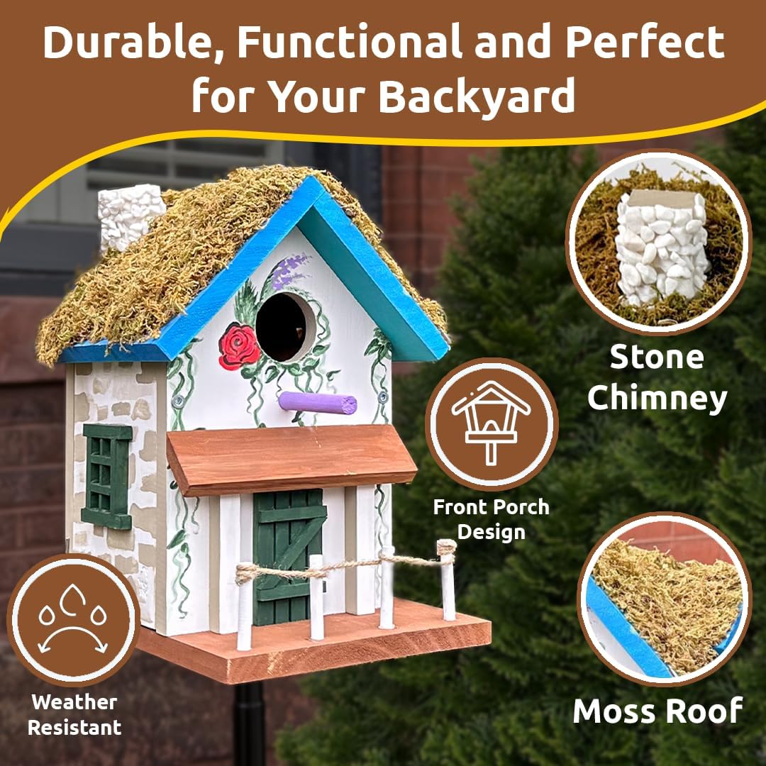 SparkJump Cottage Birdhouse Kit - Easy DIY Bird House for Outdoors, Cedar Roof & Front Porch, Natural Stones, FSC Certified Wood, Fun Family Crafting Project