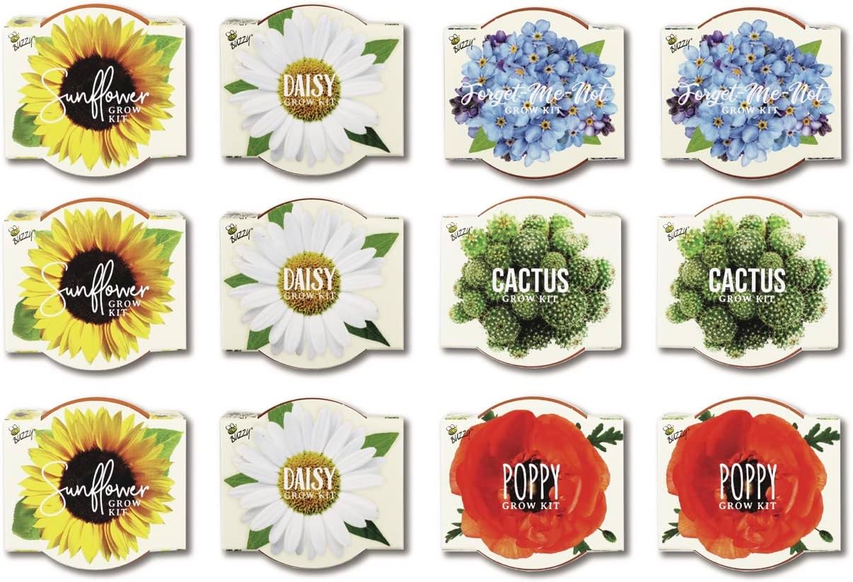 BUZZY Seeds Mini Terracotta Pots 12-Pack with Plant Seeds, Poppy, Sunflower, Daisy, Cactus and Forget Me Not, All-in-One Seed Starter Kit, Indoor Outdoor Gardening Gift, Wedding Favors