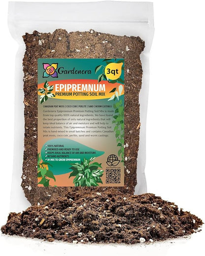 GARDENERA Epipremnum Plant Potting Soil - Enhance Foliage and Health with Professional Grade Nutrient-Rich Mix - 3 Quart