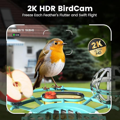 Smart Bird Feeder with Camera, AI Identify Birds Species Solar Powered, 2K HD Video Bird House with Camera, Instant Arrival Alerts, Waterproof Squirrel Proof, Gift for BirdLovers, 2.4GHz WiFi, Blue