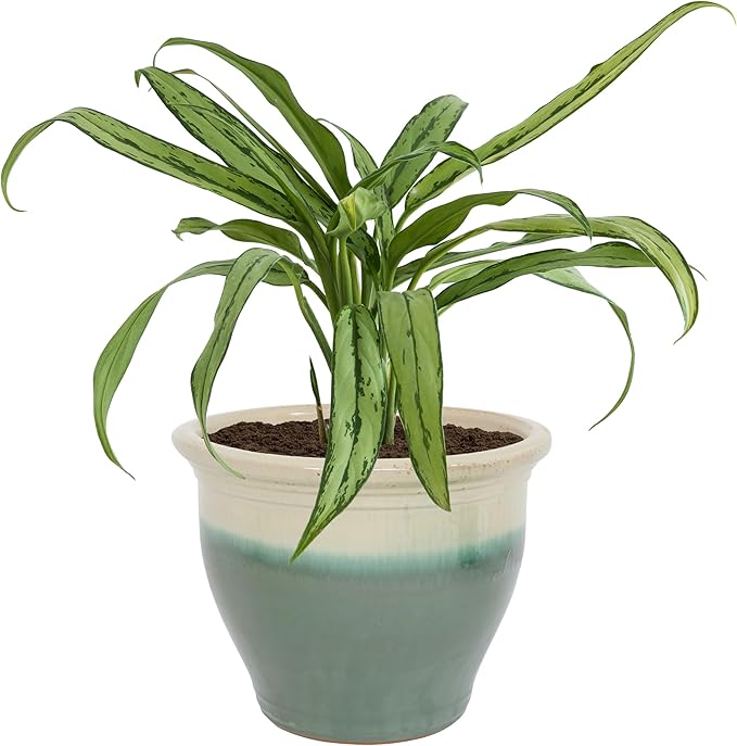 Sunnydaze Large Ceramic Plant Pot - Round Outdoor Glazed Ceramic Planter Pot with Drainage - Studio - Gray - 18.5"