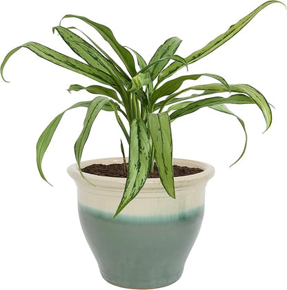 Sunnydaze Large Ceramic Plant Pot - Round Outdoor Glazed Ceramic Planter Pot with Drainage - Studio - Gray - 18.5"