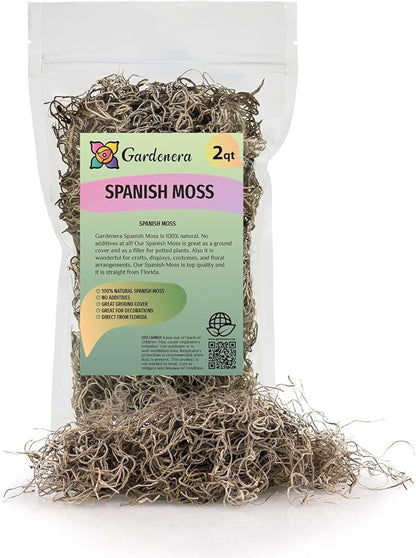 Premium Natural Spanish Moss | Natural Preserved - Great Ground Cover - Filler for Potted Plants - by GARDENERA - 2 Quart Bag