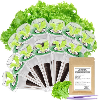 12-Pod Gourmet Herb Seed Kit Compatible with All Hydroponics, Hydroponic Growing Kit with Seeds & Grow Sponges – Indoor Garden Starter Set for Fresh Herbs & Vegetables (Lettuce)