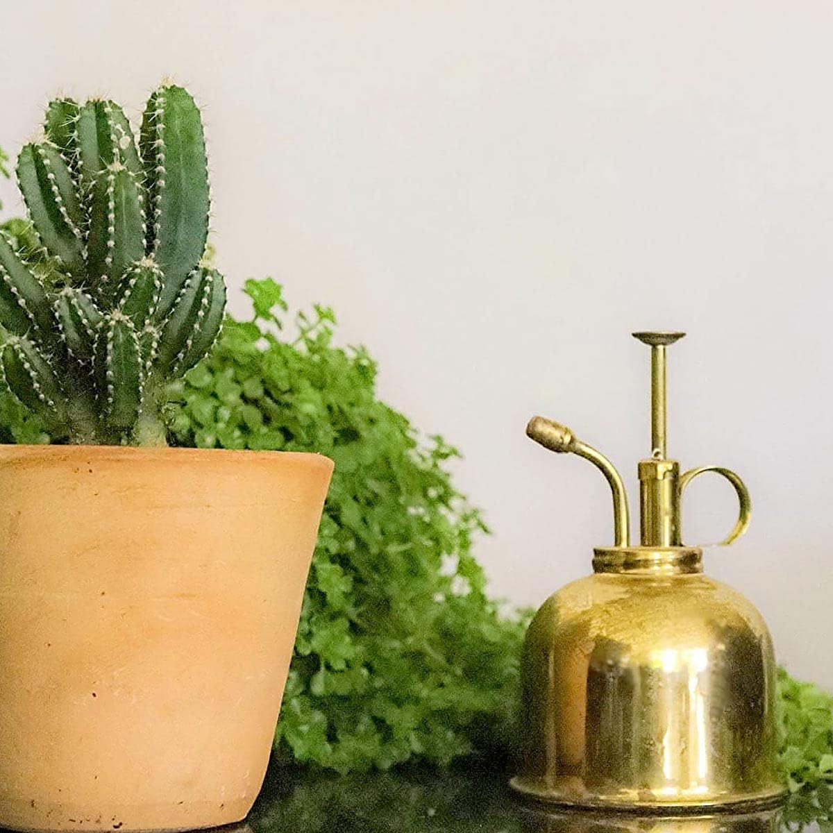 Watering Can Indoor Plants - Brass Plant Mister - Stylish and Rust Resistant Watering Cans for Healthy Hydration - Prevents Overwatering