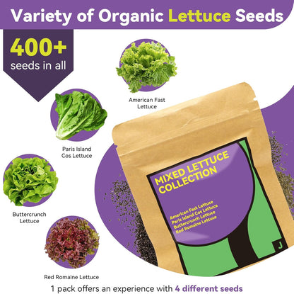 LYKOCLEAN Red Romaine Lettuce Seed Pods for AeroGarden, Ahopegarden, iDOO Hydroponics Growing System Indoor, 400+ Seeds(12-Pods)