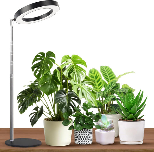 Desktop Grow Light, Height Adjustable Grow Lights for Indoor Plants Full Spectrum, 3 Lighting Mode, Halo Grow Light with Timer, Plant Lights for Indoor Growing (Black)