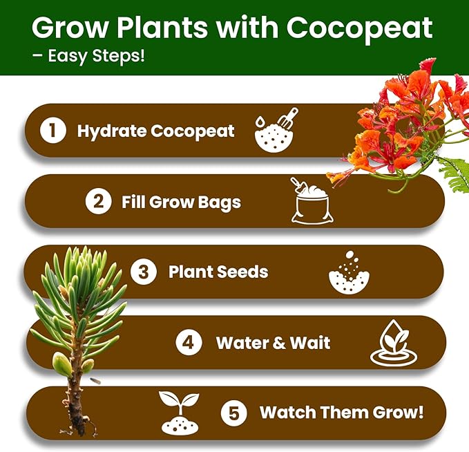 5 Pack Bonsai Tree Kit - Unique Gardening Gift Set for Plant Lovers | Complete Japanese Bonsai Starter Kit with Seeds, Tools & Planters | Ideal Christmas, Birthday Gifts for Women & Men