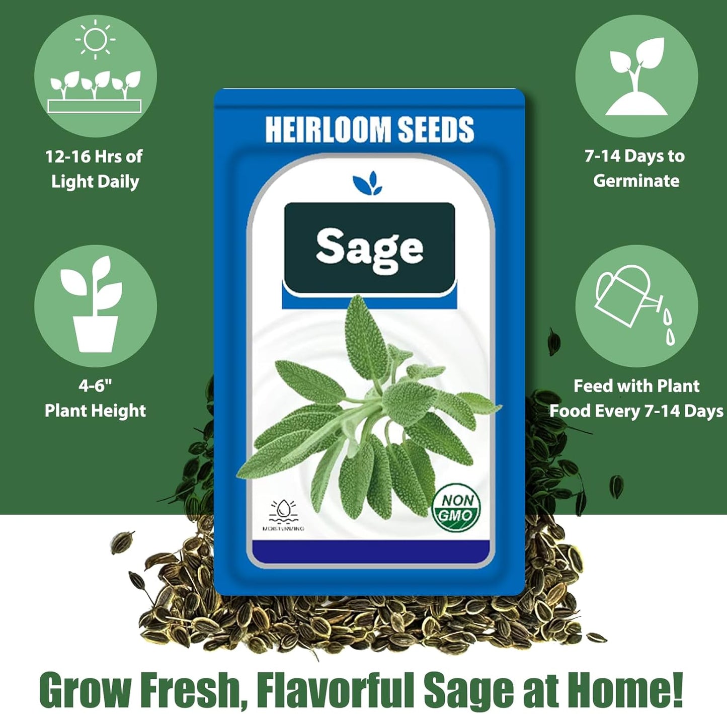 Sage Seed Pods for All Hydroponics Growing Systems, 12 Pods Herb Kit with 200+ Seeds of Sage, Grow Your Own Herb Garden at Home