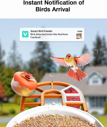 Smart AI Bird Feeder with Camera: Solar-Powered, 2K Live Video, Bird‘s Species Identification, Arrival Alerts, and Motion Capture –Wireless Bird Camera for Watching Birds (Orange)