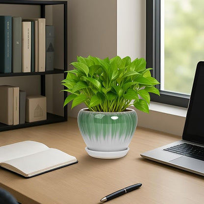 Deep Dream 6 Inch Plant Pots- Ceramic Planter Pot with Drainage Hole and Saucer, Round Flower Pot for Indoor Outdoor Succulent, Snake Plants and Cactus, White&Green