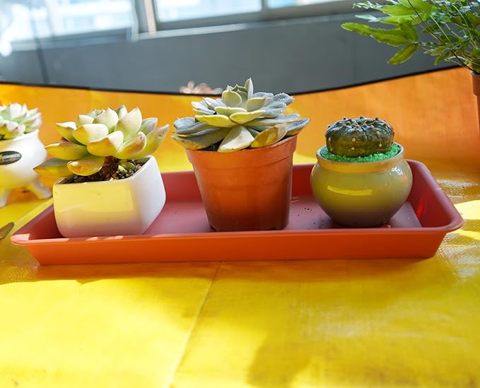 2 Pack Plastic Plant Saucer, Rectangular, Indoors Outdoor, Water Drip Tray for Flower Pot, Windowsill (6.5 X 13 Inch, Black)