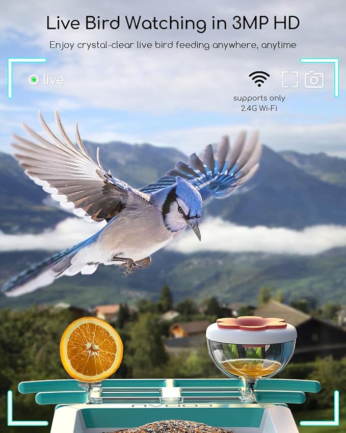 COOAU 2K Smart Bird Feeder with Camera Solar Powered, Outdoor Bird House Cam with 11,000+ AI Birds Species Identification, 3MP HD Live Video Watching, Instant Notifications,Ideal Gift for Bird Lovers