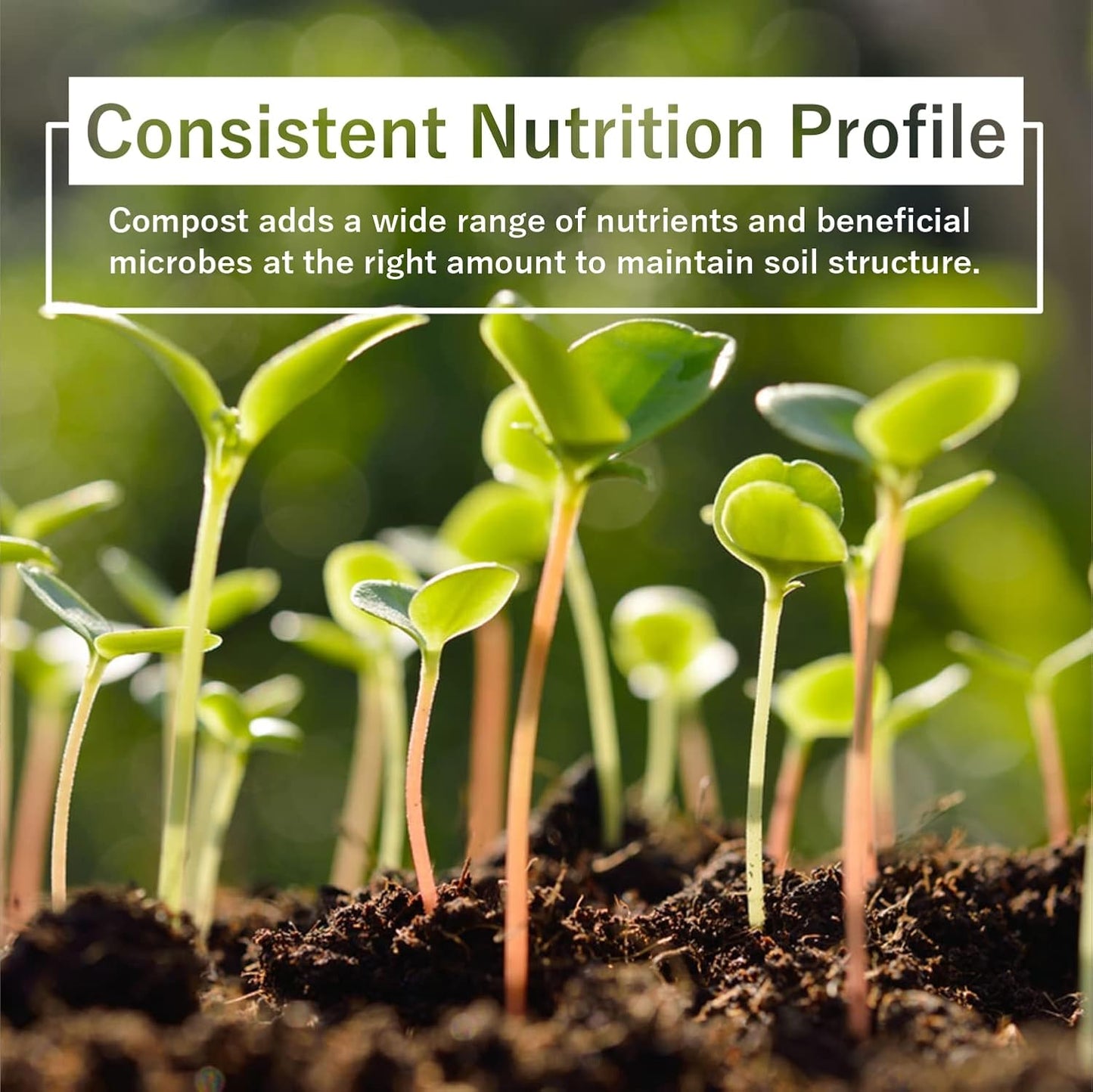 Old Potters Organic Compost - Plant Based Potting Soil - Home, Garden Fertilizer - Complete Food - Boosts Plant Growth - Use for Indoor and Outdoor Farming ~25 lbs (24 Quarts)